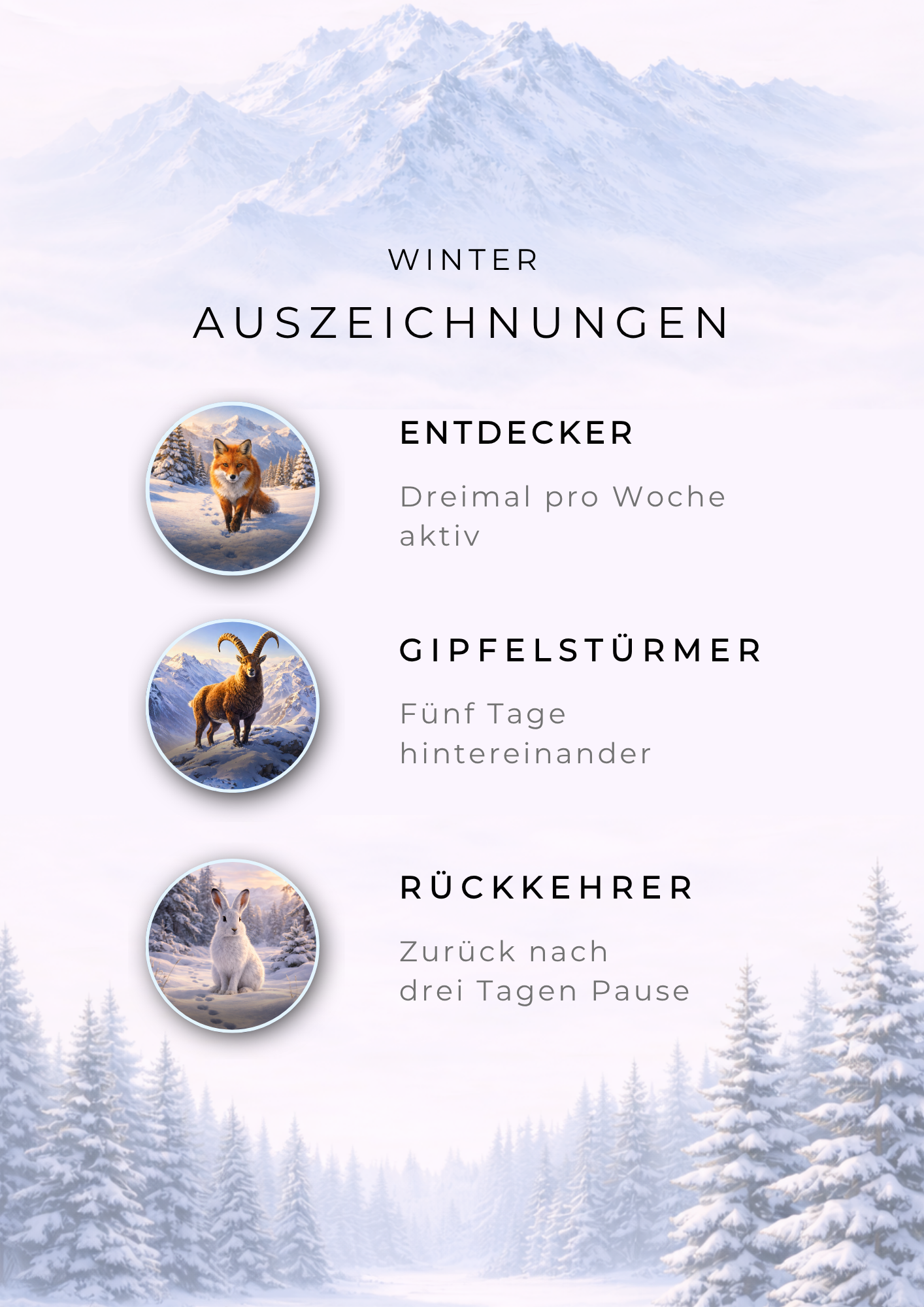 Winter-Challenge Abzeichen und Auszeichnungen
